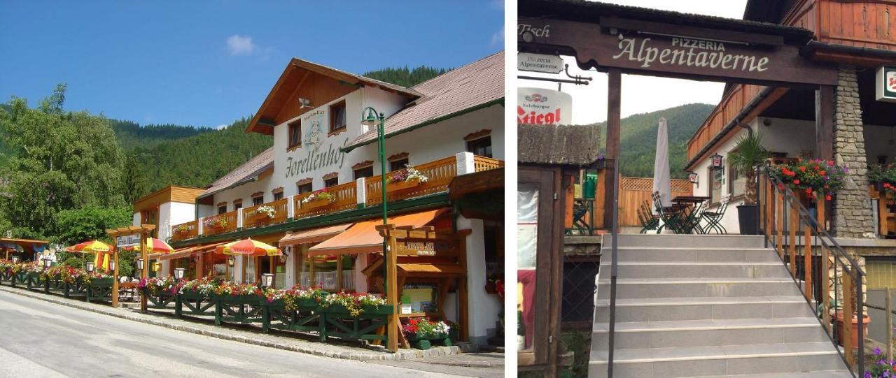 Haus Lenz Ferienwohnungen - Fam Ostermann Puchberg am Schneeberg Exteriér fotografie